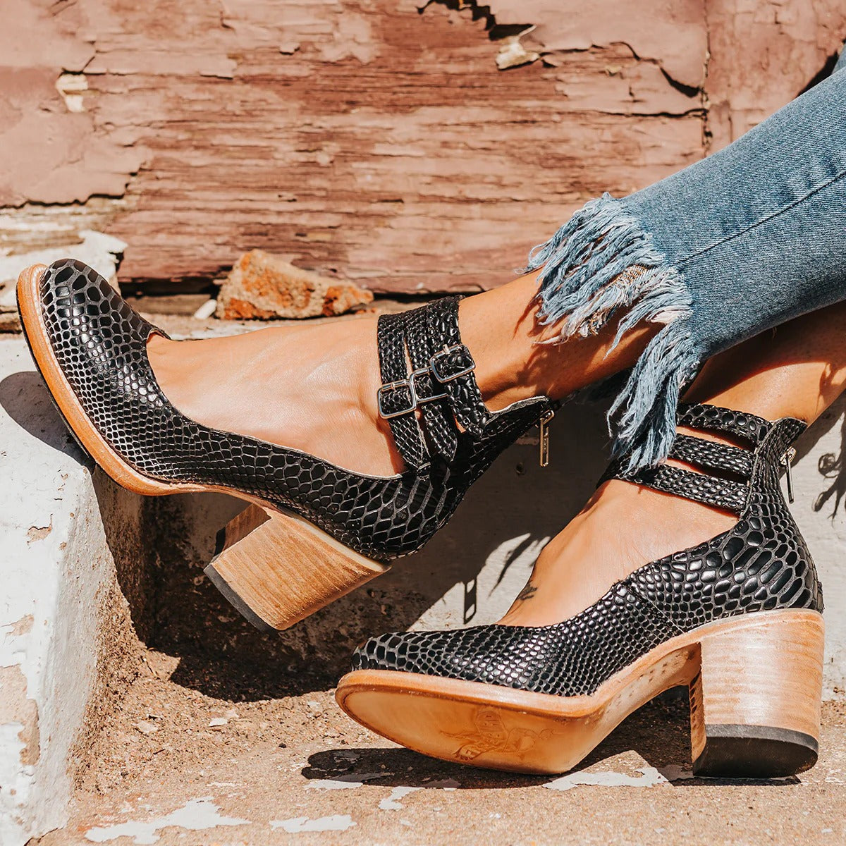 Serpent Noir / 43