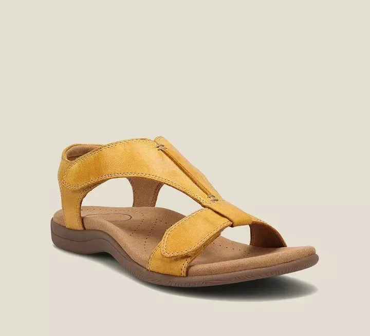 Jaune / 11 US | 42 EU