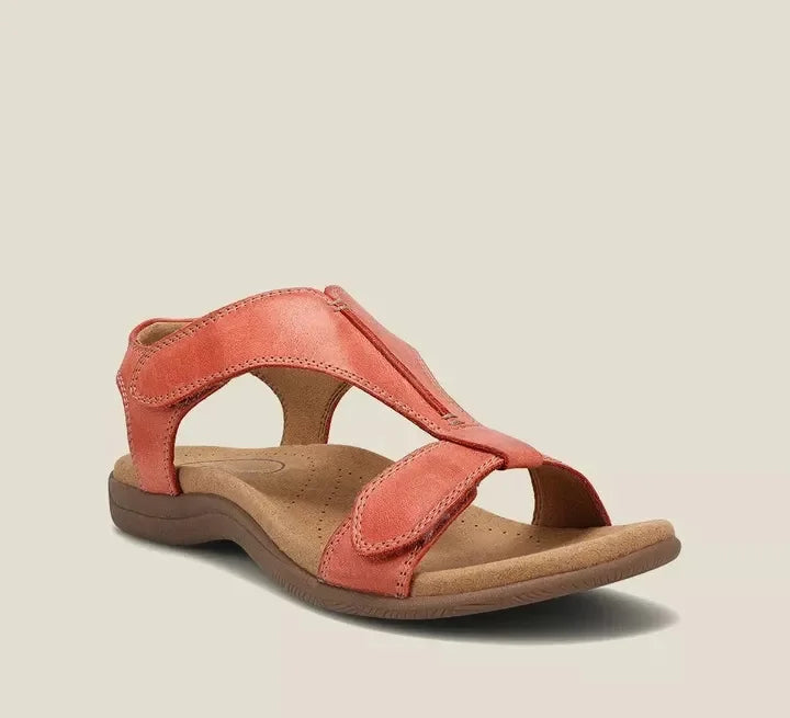 Rouge / 11 US | 42 EU